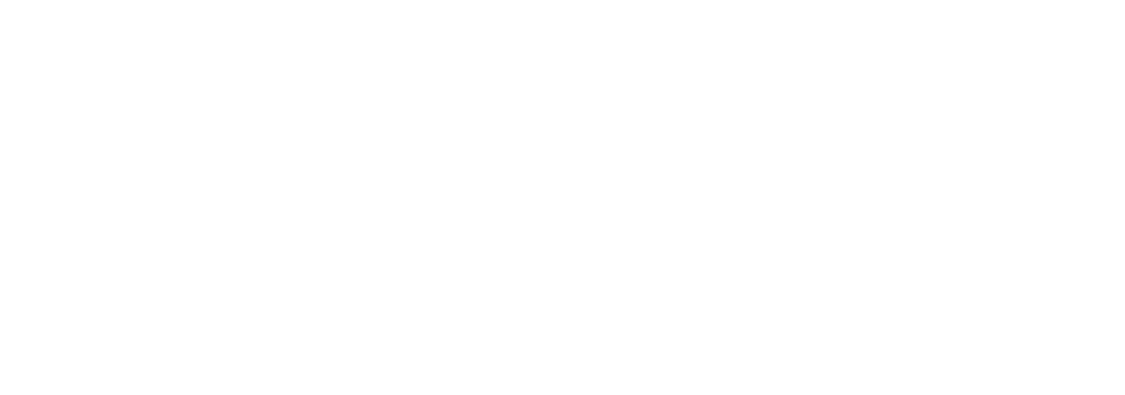 brecvity 1